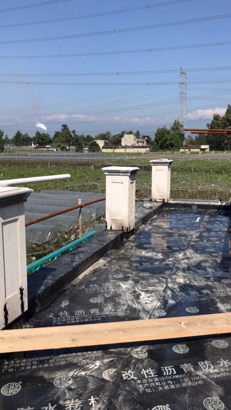 彭州在建集装箱别墅