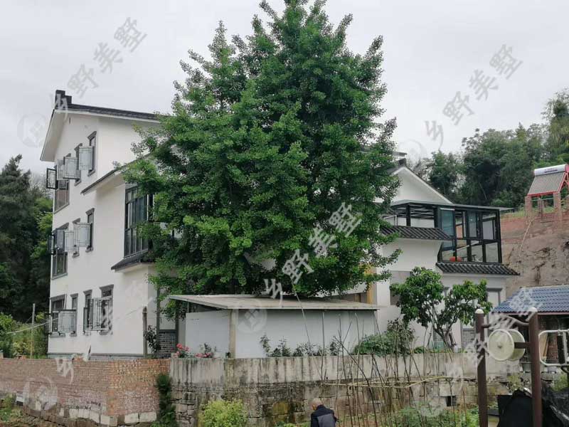 轻钢四合院别墅